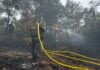 ¡Incendio en Guatapé consumió más de 5 hectáreas de vegetación! ¡Incendio en Guatapé consumió más de 5 hectáreas de vegetación!