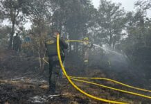 ¡Incendio en Guatapé consumió más de 5 hectáreas de vegetación! ¡Incendio en Guatapé consumió más de 5 hectáreas de vegetación!