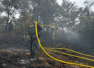 ¡Incendio en Guatapé consumió más de 5 hectáreas de vegetación!